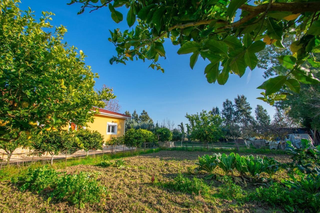 Loukas Farm House Áyios Kírikos Exterior foto